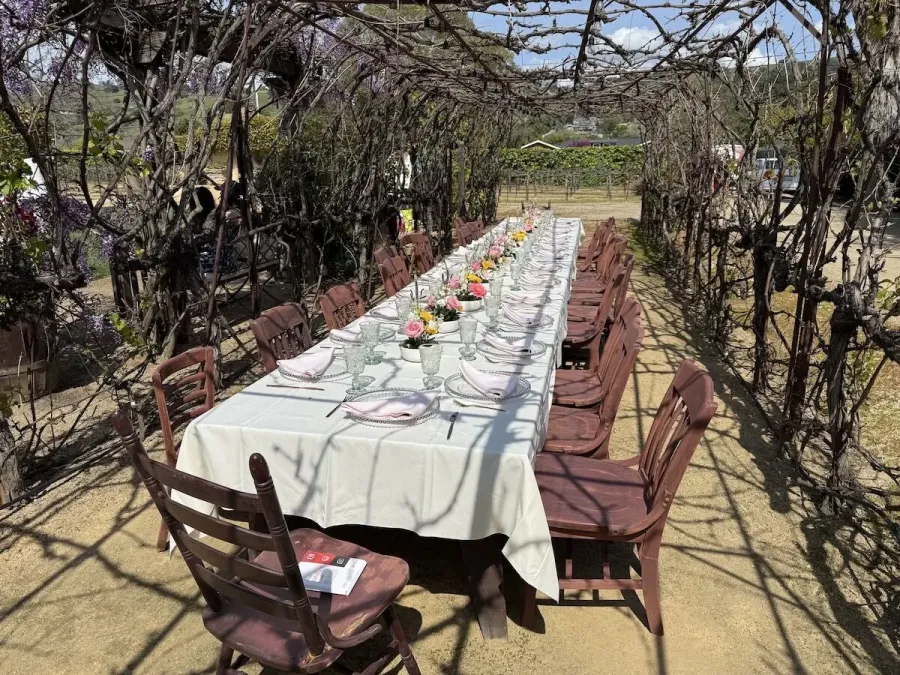 Vineyard long table with small floral centerpieces spaced between simple settings — bud vase and centerpiece design for Tracy and Modesto weddings